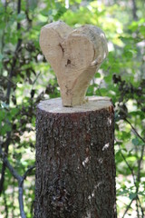 Herz aus Stamm