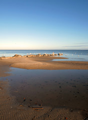 Strand in Ueckermünde im Herbst