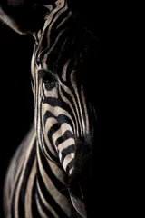 Deurstickers Zebra Manenloze zebra