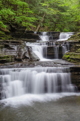 Obraz premium waterfall in the forest