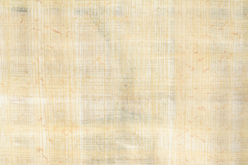 Real old payrus paper background and texture number 5. Close up macro.