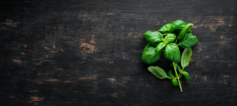 Fresh basil and spices. On a black wooden background. Top view. Free copy space.