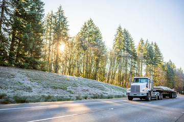 White big rig day cab semi truck for local haul transporting cargo on flat bed semi trailer running on winter road with frost grass and trees