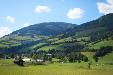 Fototapeta na wymiar Alpine fields in Austria
