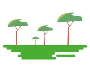 trees forest botanical panorama