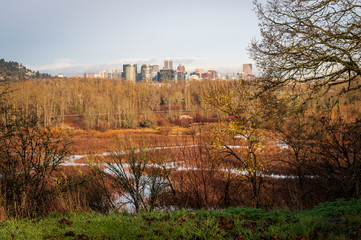 Portland Skyline form Oaks Bottom