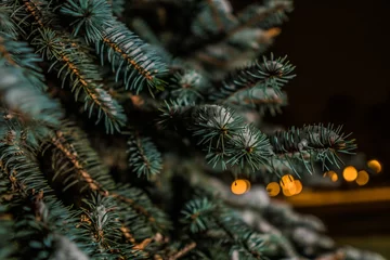 Papier Peint photo Arbres closeup conifer tree with lights in bokeh, christmas