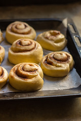 cinnamon buns - Cinnabon cooking process raw dough. (food background). copy space