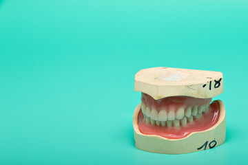 Dentures model with medical instruments