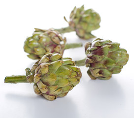 Four Artichokes on White Table top with  a Shallow Depth of Field