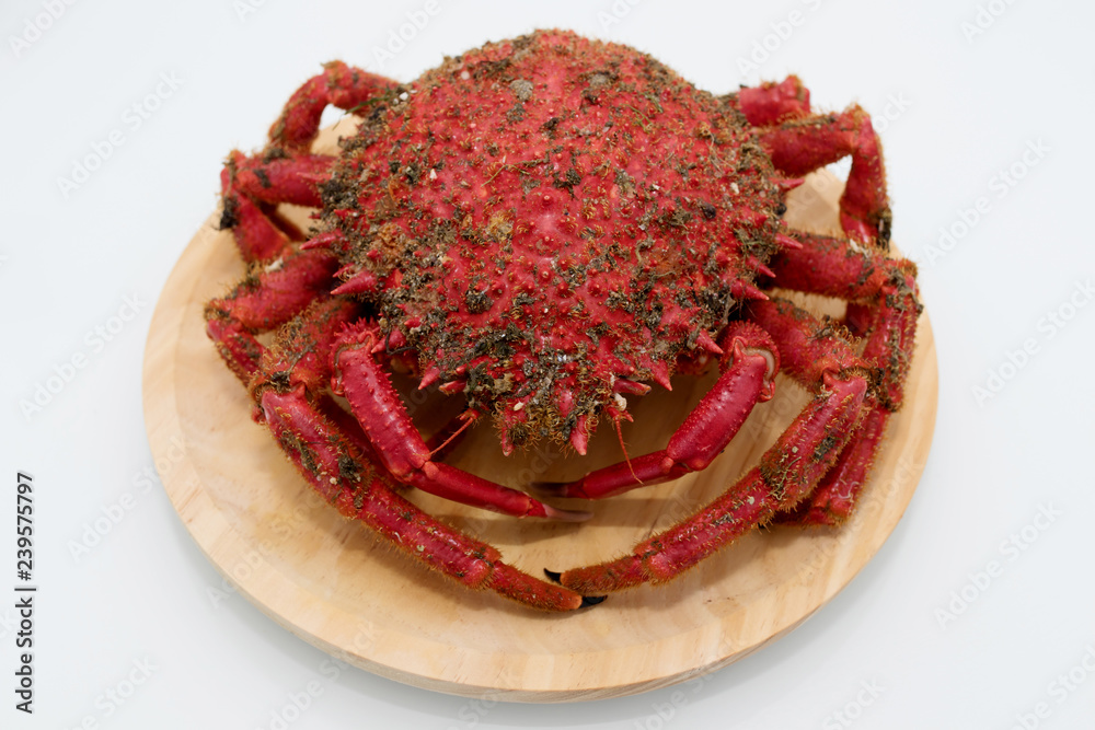Canvas Prints galician crab from the estuary, wild fresh seafood - Canvas Prints