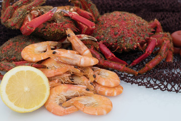 fresh and wild galician seafood