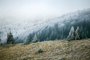 Velebit mountain winter landscape