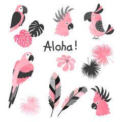 Set of cute pink watercolor parrots. Vector collection of tropical birds and palm leaves.
