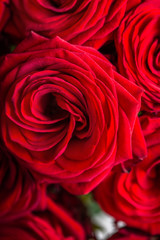 Fototapeta na wymiar Beautiful bouquet of red roses, love and romance concept