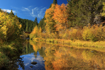 Autumn Along The Susan River - 239581975