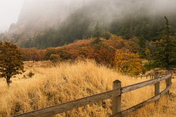 Misty fall colors of Pacific Northwest