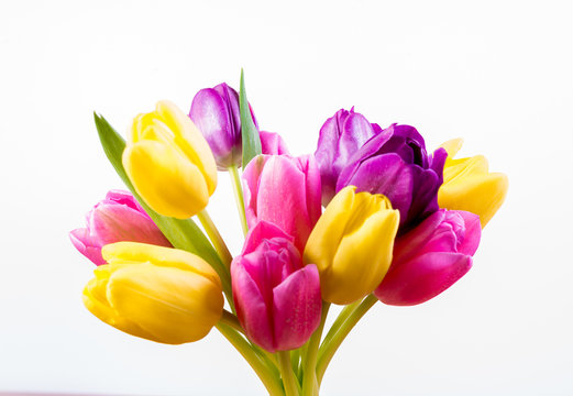 Tulip Bunch