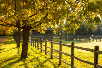 Autumn Trees, Farm and Fence