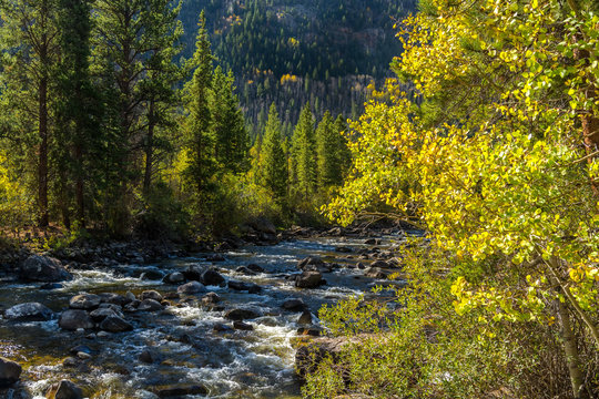 Mountain Stream