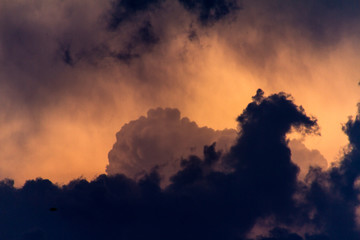 Dettagli di piante e nuvole al tramonto