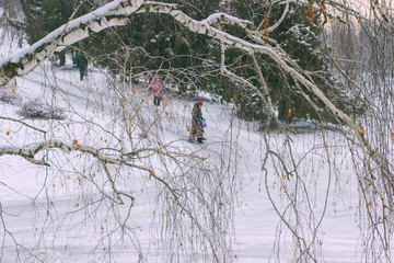 People walk in the winter park. In the foreground birch branches