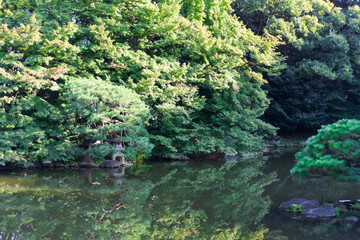 Green Japanese garden with reflection in water (daytime in summer)