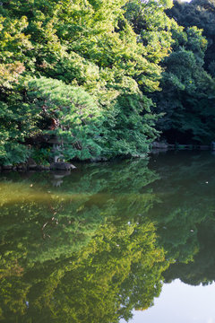 Green Japanese garden with reflection in water (daytime in summer)