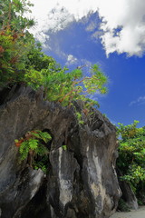 Limestone cliffs-karstic relief on the beach. Cudugnon Point Cave-El Nido-Palawan-Philippines-0873