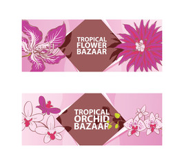 Tropical flower, orchid bazaar vector illustration. Flora banners, flyers. Exotic plants. Natutal concept. Beautiful pink blossom. Advertising of botanic exposition.