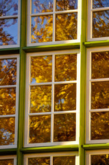 Jesień w oknie