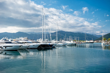 Obraz premium Porto Montenegro with yachts and palms at summer