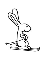 winter schifahren ski berge schnee schihase fahren schnell spaß hase kaninchen süß niedlich klein comic cartoon häschen clipart haustier