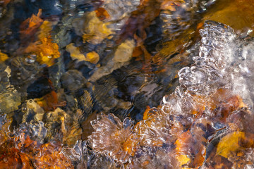 Ice forming on the side of a riverbed