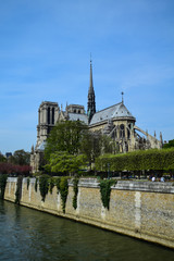 Fototapeta na wymiar The iconic Cathedral of Notre Dame de Paris on the Ile de la Cite