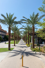 Fototapeta na wymiar Arizona State University