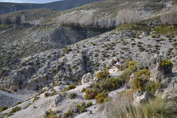 Fototapeta na wymiar Mountains and hike at Ruta de Los Cahorros pathway at Sierra Nevada mountains, Monachil, Andalusia, Spain