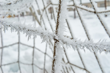The football goal net, covered with hoarfrost