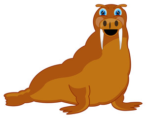 Vector illustration of the cartoon animal walrus on white background