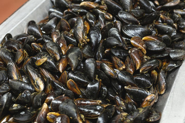 heap of raw fresh mussels on counter at local fish market. Heap of Nutritious shellfish mollusk at seafood store