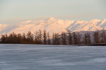 融雪剤が撒かれた雪の畑と夕映えの雪山　十勝岳