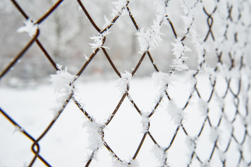 Frost on the metal fence 
