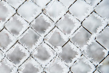 Frost on the metal fence 