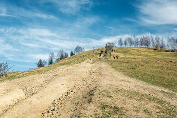 Obraz premium autumn high mountains landscape full frame