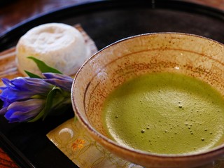 Matcha - Japanese Green Tea