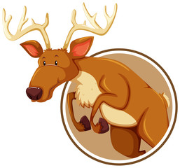 A deer on sticker banner