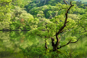 Jusanji Reservoir is a famous tourist spot in Muju County, Korea.