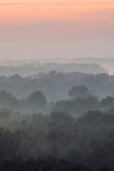 Mystical view from top on forest under haze at early morning. Eerie mist among layers from tree silhouettes in taiga under predawn sky. Morning atmospheric minimalistic landscape of majestic nature.