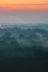 Mystical view from top on forest under haze at early morning. Mist among layers from tree silhouettes in taiga under warm predawn sky. Morning atmospheric minimalistic landscape of majestic nature.
