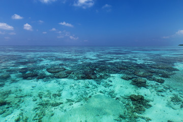 Indian ocean with coral reefs